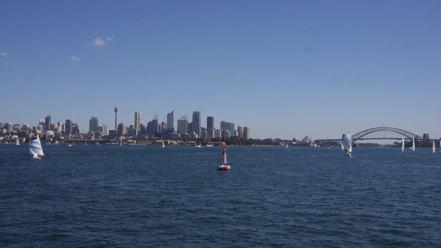 A view of sailboats floating around in a harbor