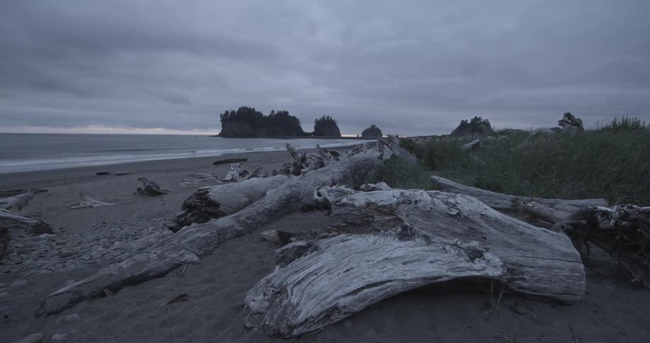 A beach with large pieces of driftwood in the sand