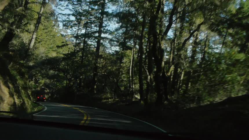 A vehicle drives down a winding, forest road