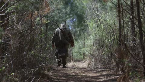 A man with a gun slung over his shoulder walks through the forest