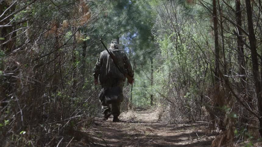 A man with a gun slung over his shoulder walks through the forest
