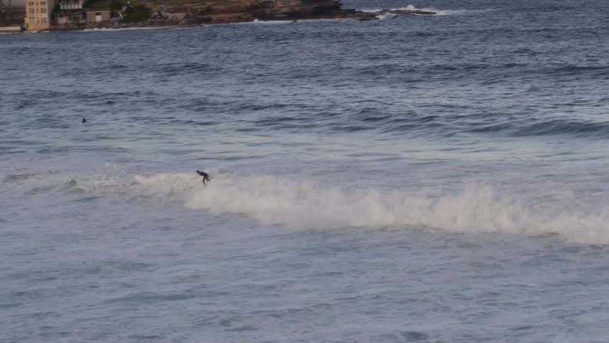 A surfer catches a wave in the ocean