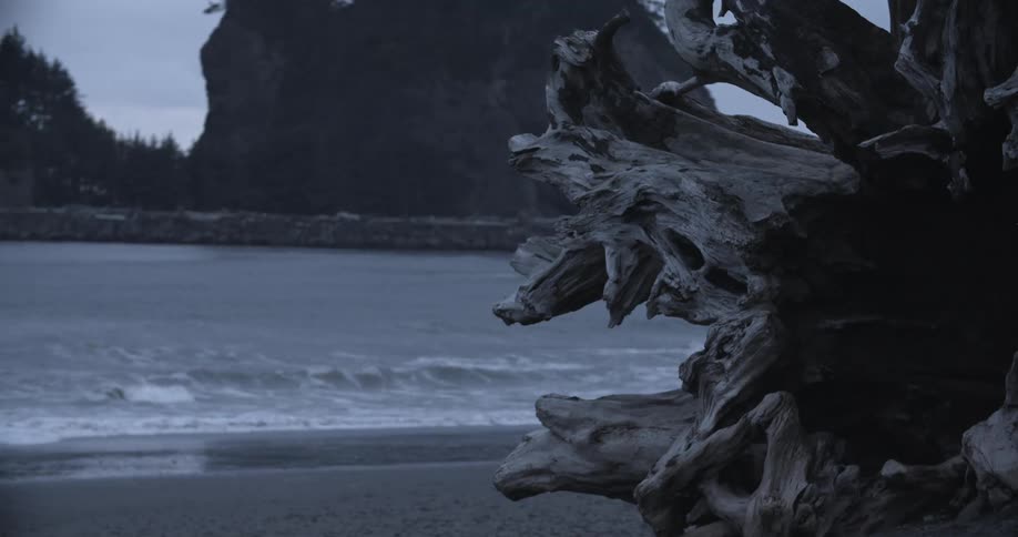 Waves crashing onto a beach with cliffs in the background and driftwood in the foreground