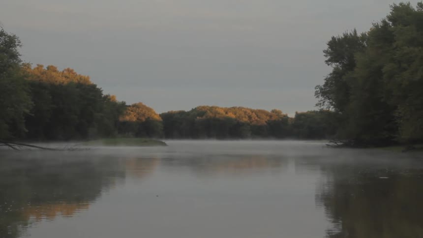 A calm and misty tree-lined river at dawn