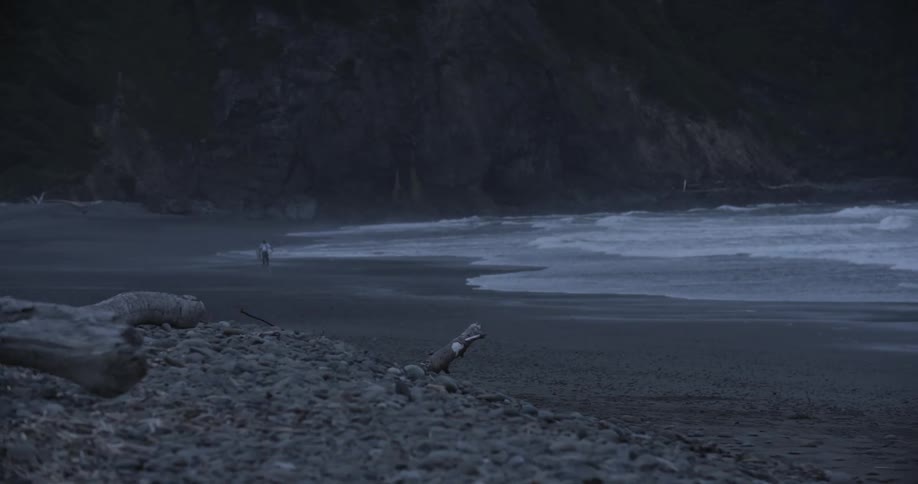 A person walks on a beach at dusk