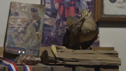 A fake bird on a log sits on a mantle near a book