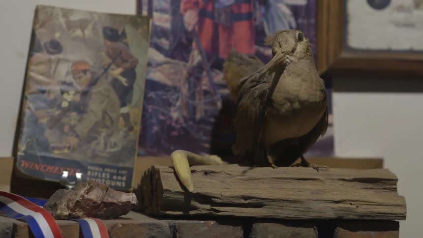 A fake bird on a log sits on a mantle near a book