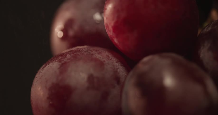 A pile of fruit sits undisturbed