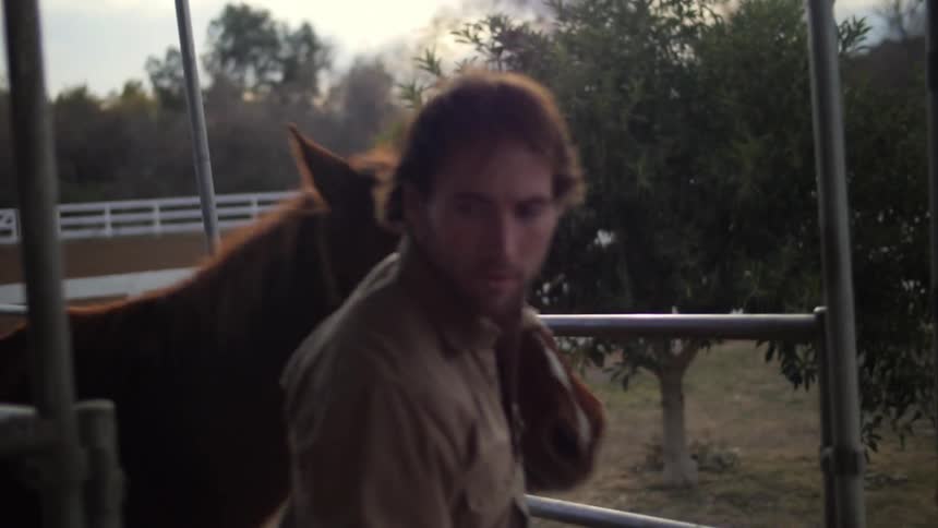 A man and a horse walking