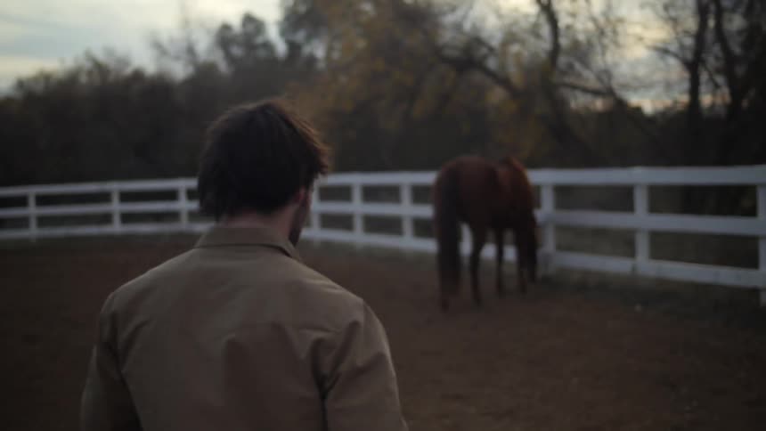A man walks towards horses on a farm