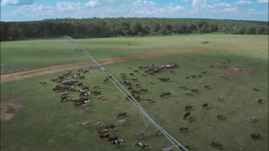 A scenery of a ranch