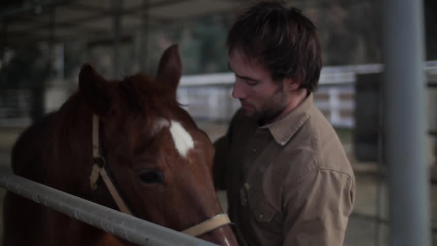 A man pets a horse