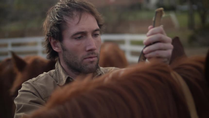 A man placing reigns on a brown horse on a farm with other horses behind him