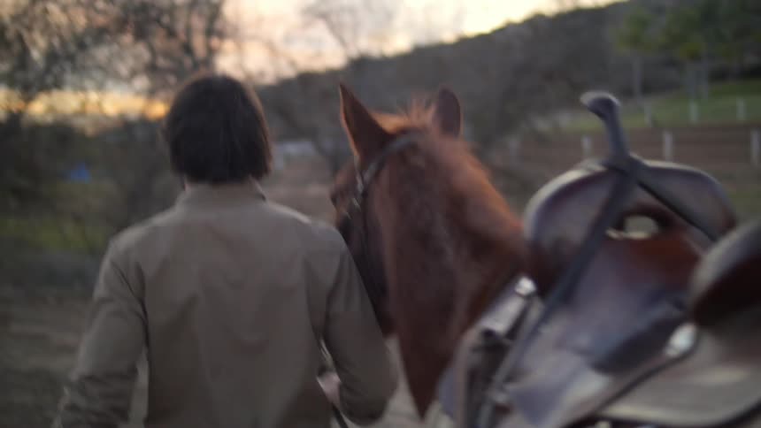 A man leads a saddled horse