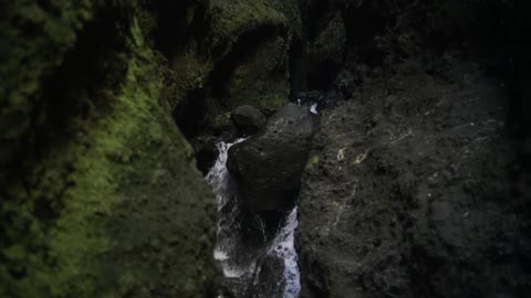 Water flowing down a rocky, mossy creek