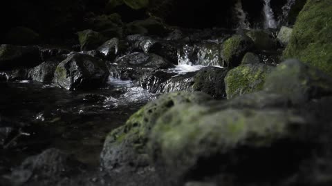A small waterfall coming down a mossy, rocky creek
