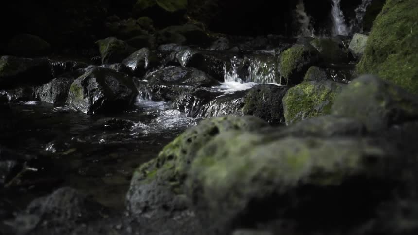A small waterfall coming down a mossy, rocky creek