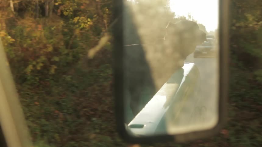 View of a dog riding in the back of a truck in the rear view mirror