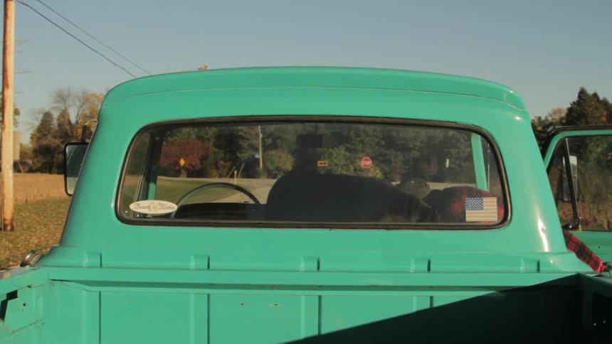 A man puts his dog in a pickup truck