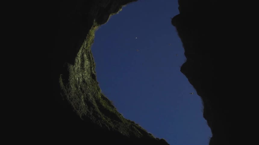 Looking out of a cave entrance