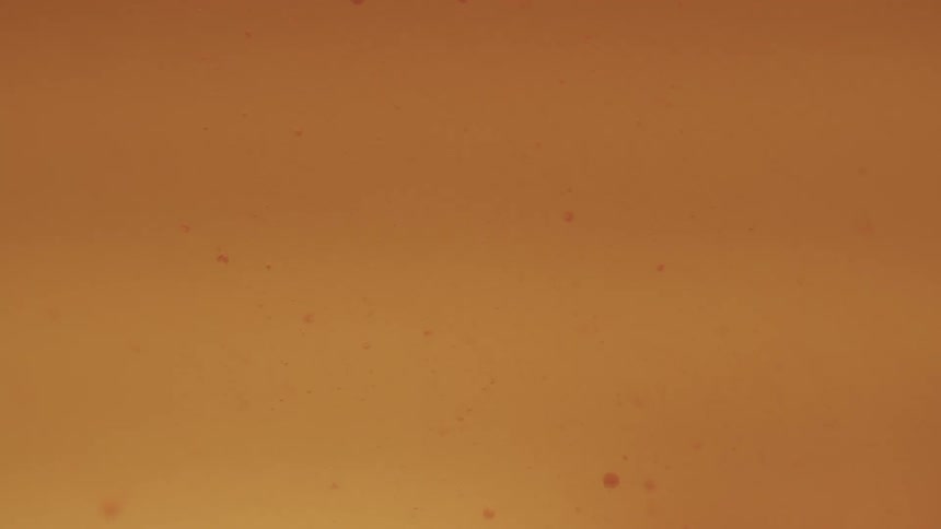 Particles floating in an orange colored liquid