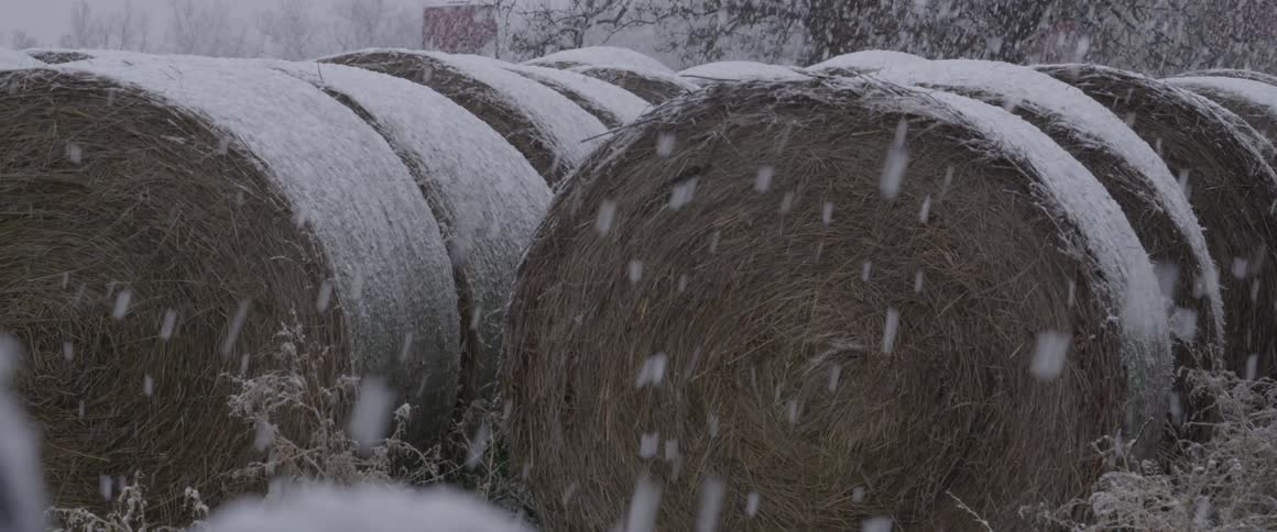 Snow falls onto bales of hay