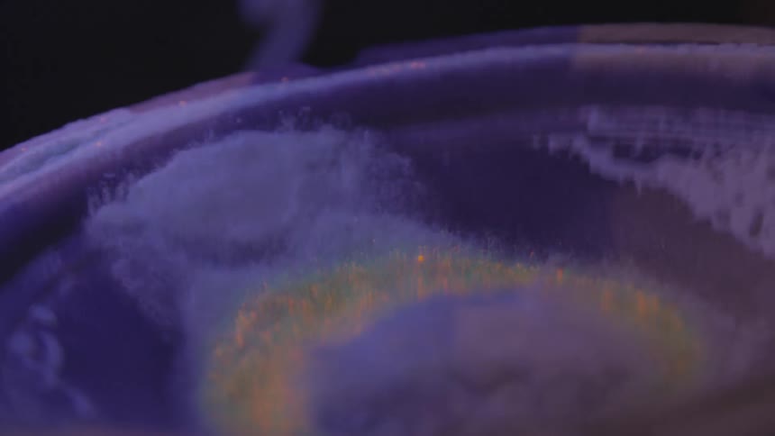 A footage of water ripple in a bowl