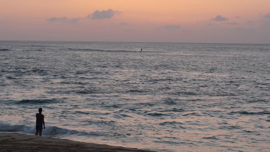 Man and woman walking with a dog on a beach after sunset