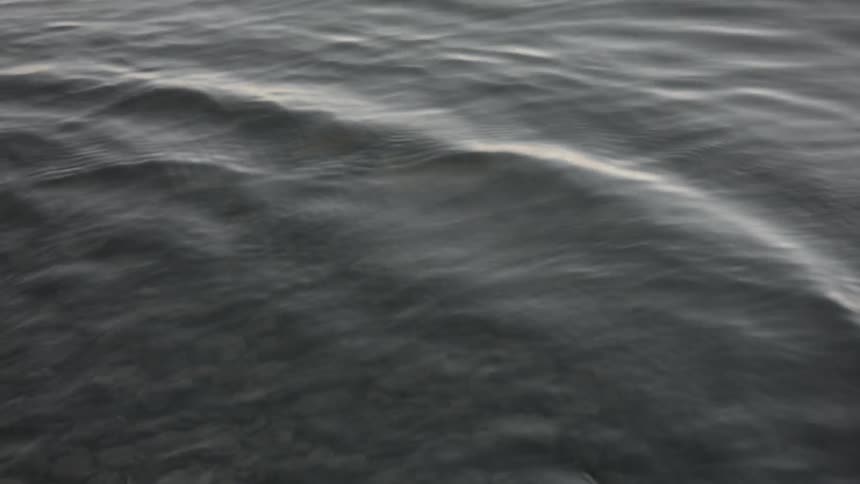 Water ripples out from the lower left corner of the screen