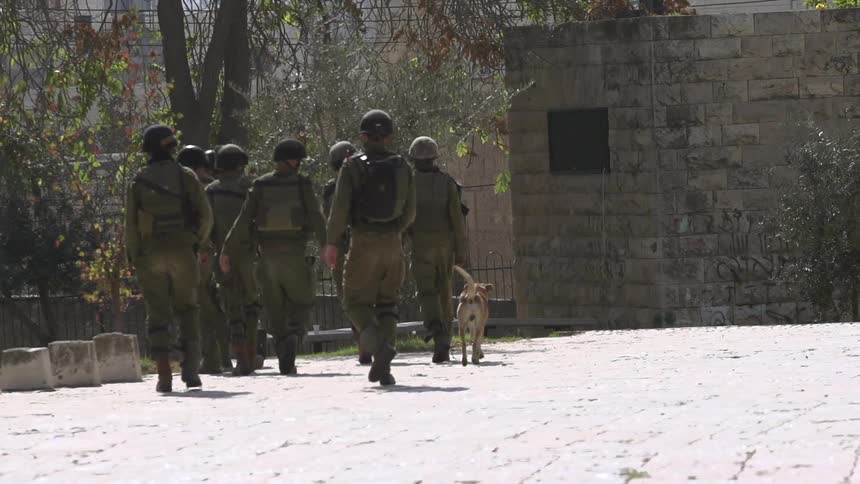 A group of soldiers walking along
