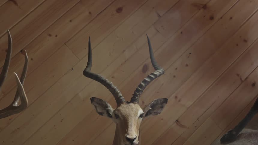 A statue of an antelope