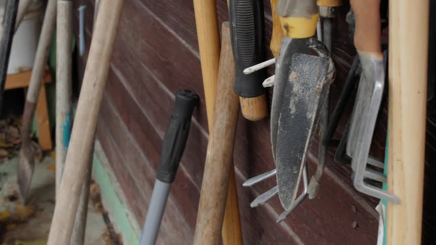Shovels and rakes hanging on an outside wall