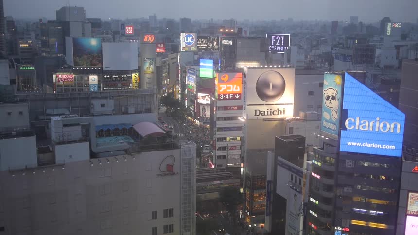 Tokyo city is shown at dusk