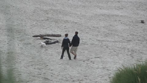 A couple walks on a beach with their dog