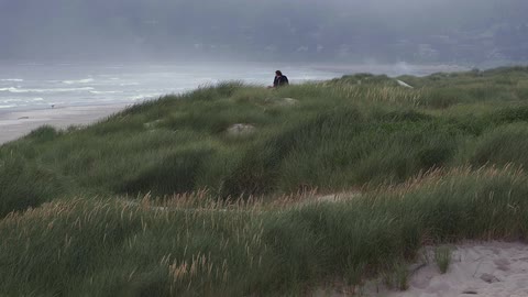 Two people sitting in a grassy area near the beach
