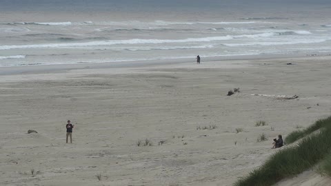A boy flies a kite on a windy beach