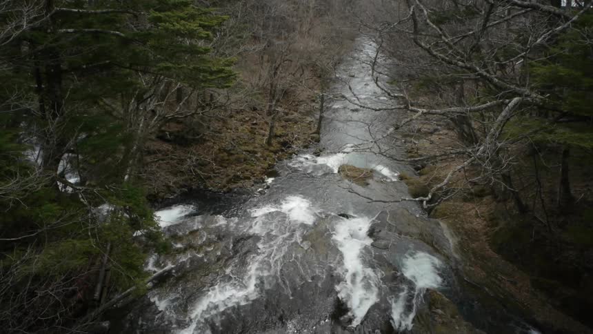 River flowing through the woods