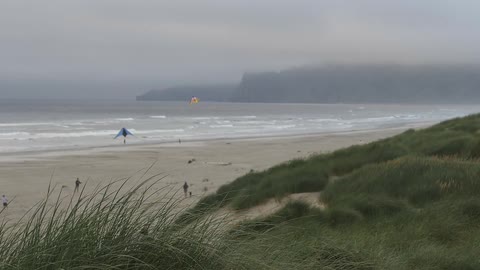 Kites are flown on a windy beach