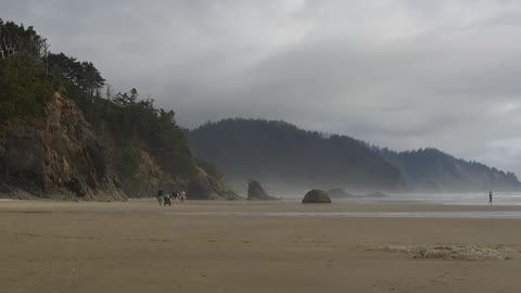 A group of people walking on the beach