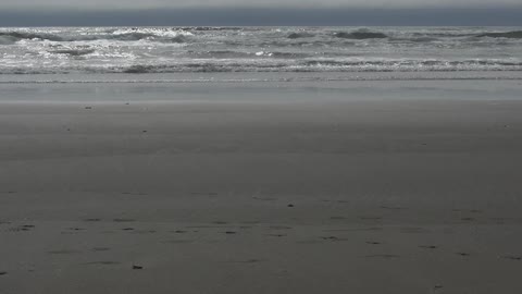 Small wave rolling into the beach