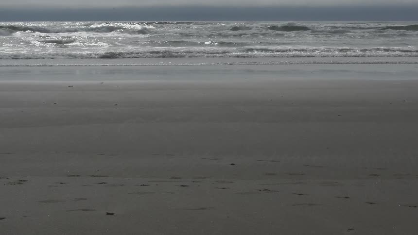 Small wave rolling into the beach