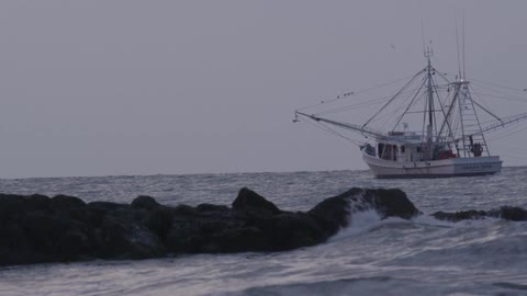 Fishing boat floating offshore