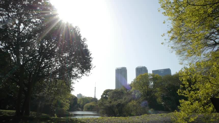 Beautiful city park on a sunny day