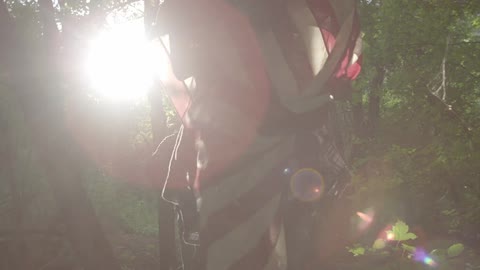 A person carries a flag through the forest