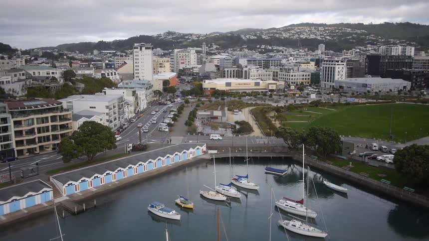 Sailboats float in a marina with a city in the background