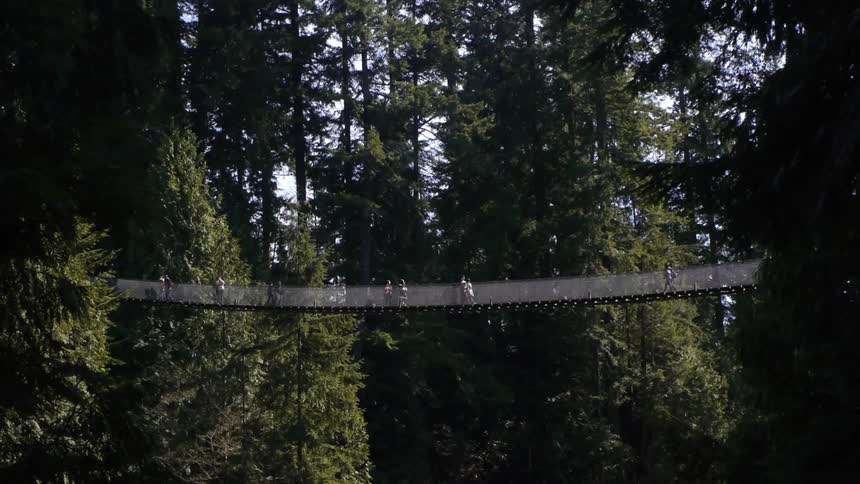 People walking across a rope bridge in a forest