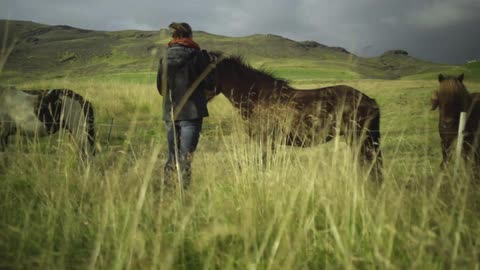 A person tending to their livestock