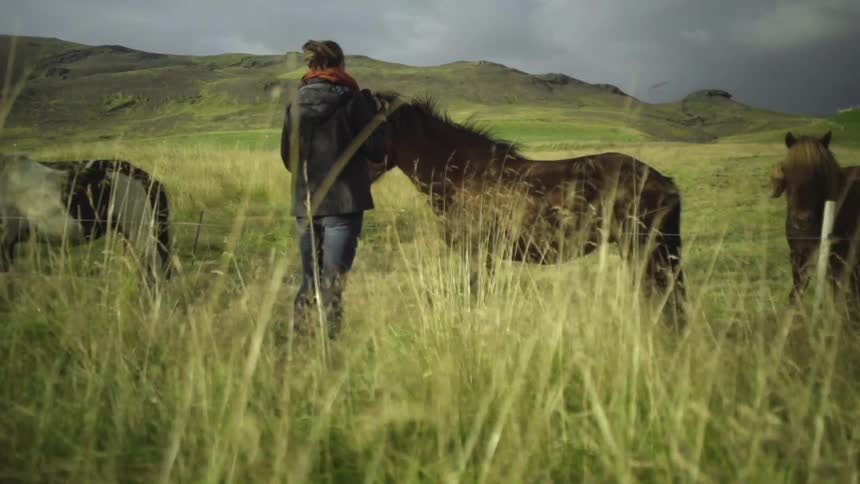 A person tending to their livestock