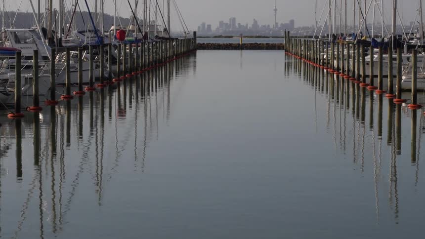 Marina full of anchored boats with view on Auckland New Zealand