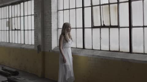 A woman looks at paned windows